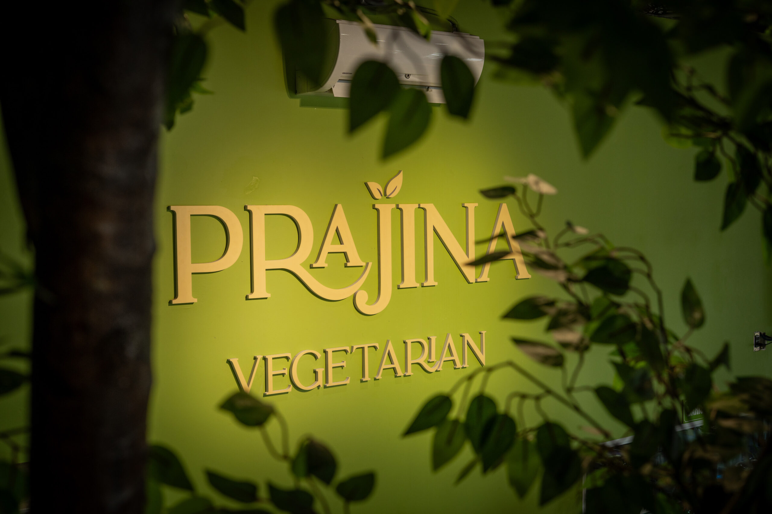 Khai Trương Prajina